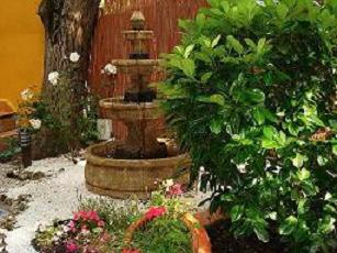 jardin.jpg
