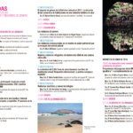cartel_lanzarote_2.png