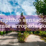 Balneario-Arnoia-Caldaria-taller-inteligencia-emocional.jpg